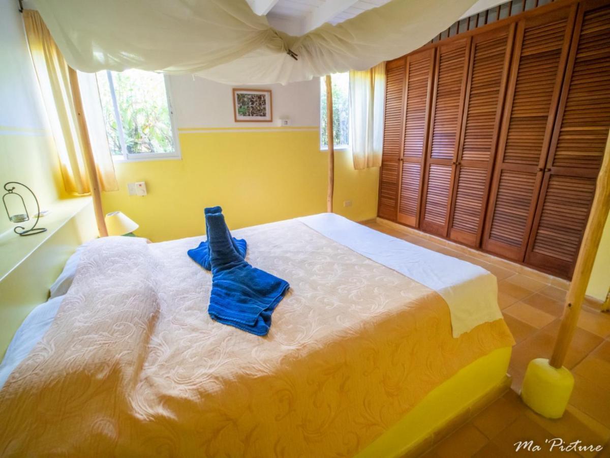 Résidence Villas Les Hibiscus Las Terrenas Exterior foto